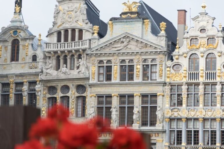 Brussels: Private Tour of the Upper and Lower City - Final Thoughts