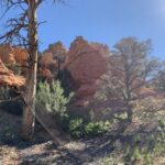 Bryce Canyon City: Horseback Riding Tour in Red Canyon - Practical Tips for Booking and Preparing