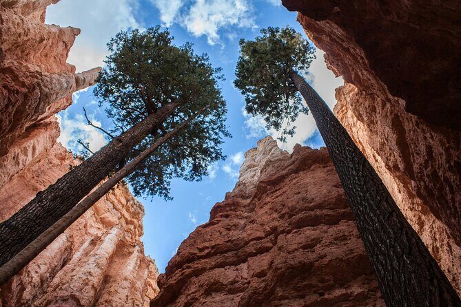 Bryce Canyon Full Day Small Group Tour - Who Is This Tour Perfect For?