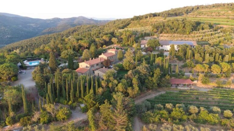 Buccia Nera Winery: Picnic, Vineyard, Wine, Food and Nature - Final Thoughts