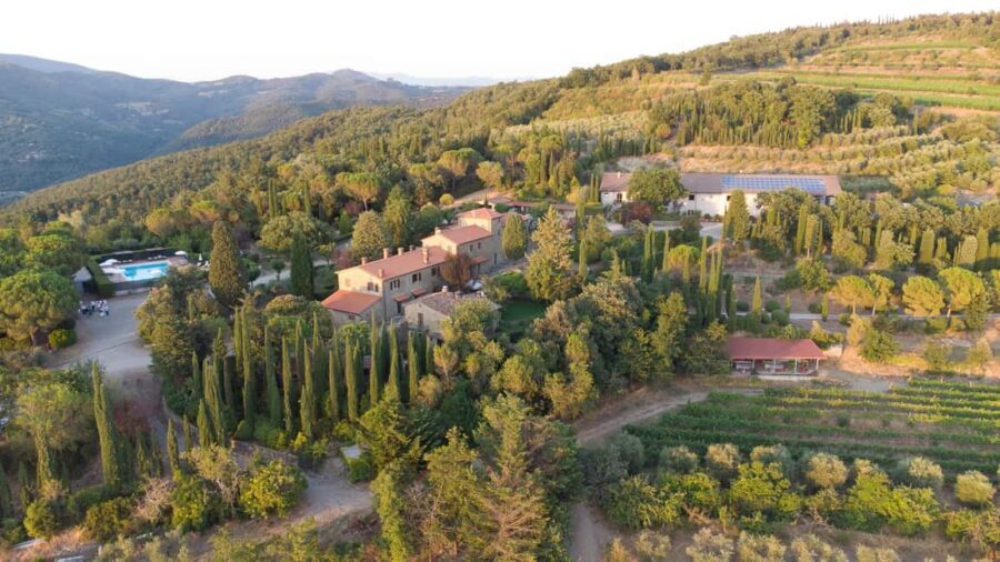 Buccia Nera Winery: Picnic, Vineyard, Wine, Food and Nature - Final Thoughts