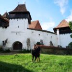Bucharest: 3-Day Best of Transylvania Tour - What’s Included and What’s Not