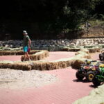 Bucharest: Bear Sanctuary and Draculas Castle Day Trip - Real Traveler Feedback & Insights