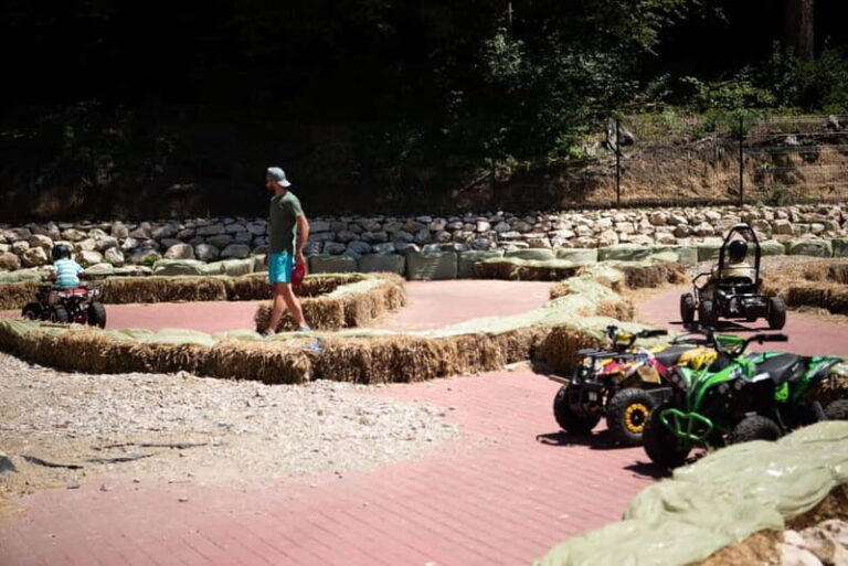 Bucharest: Bear Sanctuary and Draculas Castle Day Trip - Real Traveler Feedback & Insights