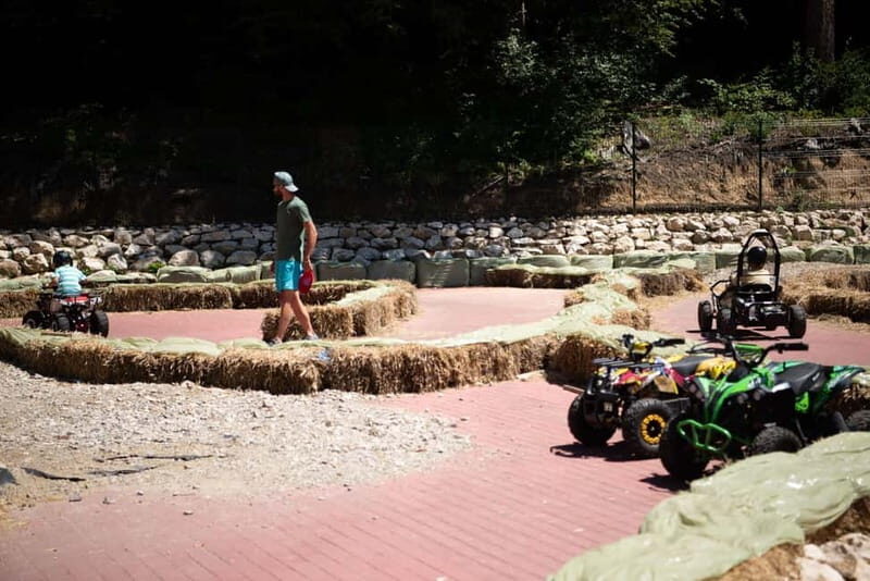 Bucharest: Bear Sanctuary and Draculas Castle Day Trip - Real Traveler Feedback & Insights