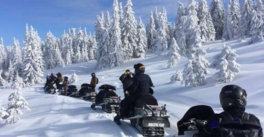 Bucharest: Carpathian Snowmobile Adventure Tour - The Practical Side