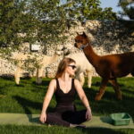Bucharest: Day Trip at the The Tribe Alpaca Retreat - Who should consider this trip?