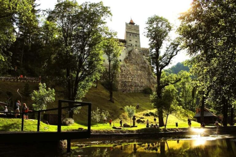 Bucharest: Day Trip to Pele Castle, Dracula Castle & Braov - Who Should Consider This Tour?