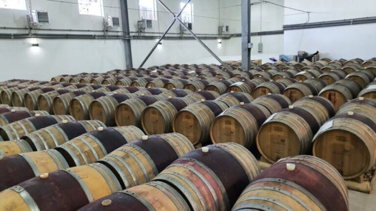 Bucharest: Dealu Mare Winery Private Trip with Wine Tasting - Who Should Consider This Tour?