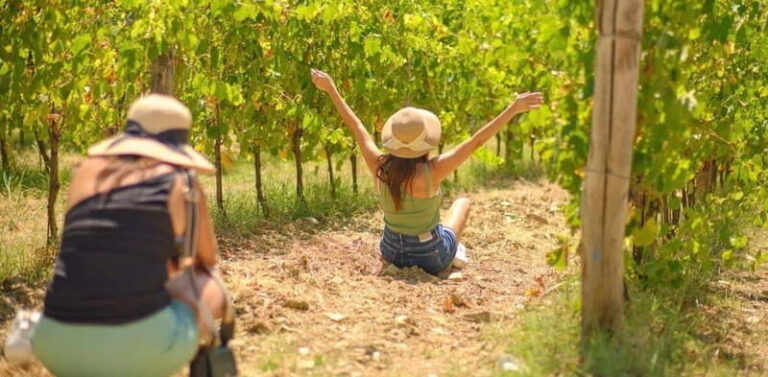 Bucharest: Discover Prejmer Fortified Church and Brasov - The Practicalities