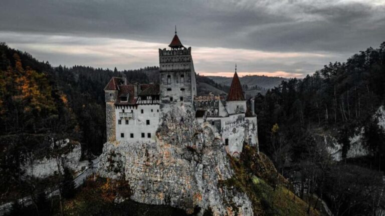 Bucharest: Dracula's Castle,''Wednesday'' Castle & Brasov - The Experience from Reviews: What Travelers Say