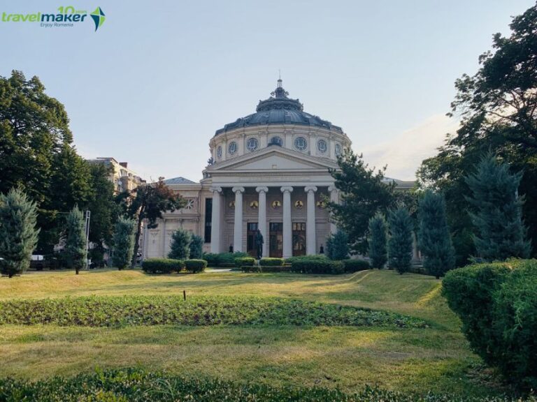 Bucharest: Half-Day Sightseeing Tour - What Travelers Are Saying