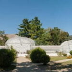 Bucharest: Mogosoaia Palace Official Entry Ticket - What to Expect During Your Visit