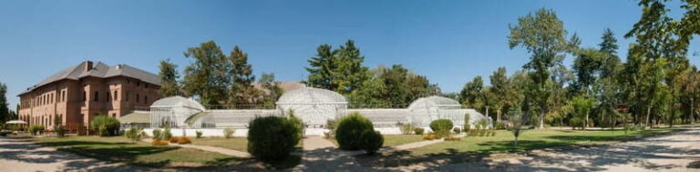 Bucharest: Mogosoaia Palace Official Entry Ticket - What to Expect During Your Visit