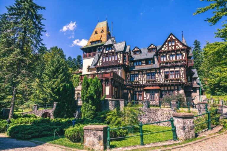 Bucharest: Peles Castle, Bran Castle, & Brasov Full-Day Tour - Practical Tips for Making the Most of the Tour