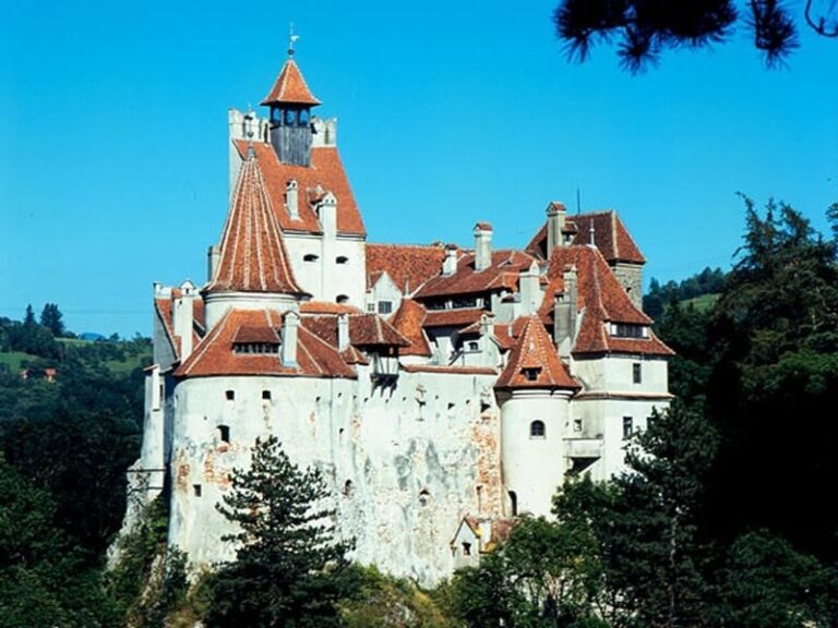 Bucharest: Peles Castle, Dracula's Castle and Brasov Tour - Who Is This Tour Best For?