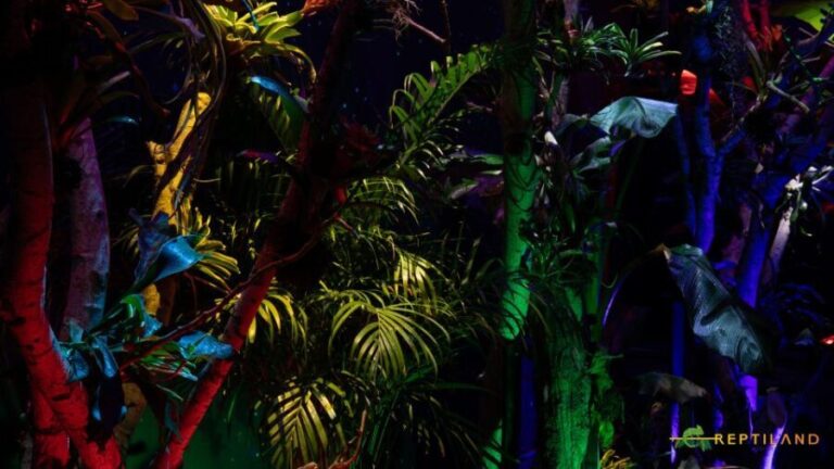 Bucharest: Reptiland Bucharest Entry Ticket - Is Reptiland Right for You?