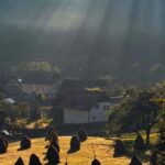 Bucharest: Romanian Villages & Countryside Tour - Practical Details: What to Expect