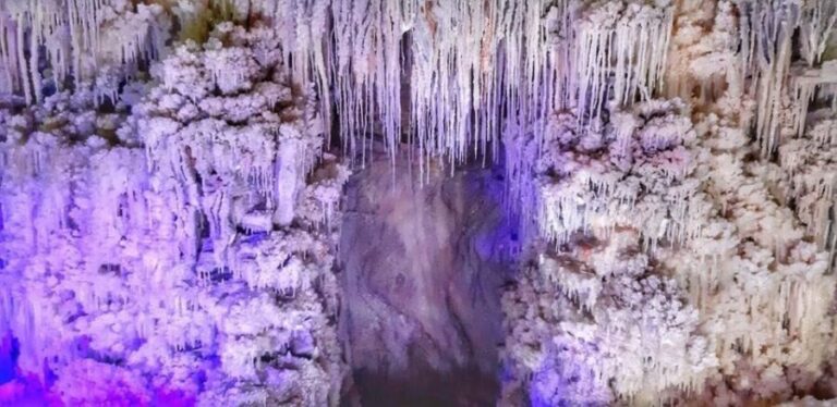 Bucharest: Salt Mine & The Tomb of Vlad the Impaler - What Sets This Tour Apart