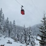 Bucharest: Snowmobile Tour with Pele Castle and Cable Car - What the Tour Looks Like