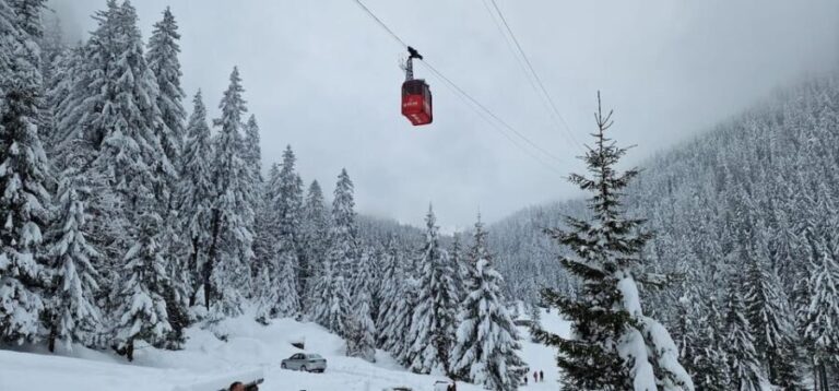 Bucharest: Snowmobile Tour with Pele Castle and Cable Car - What the Tour Looks Like