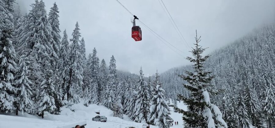 Bucharest: Snowmobile Tour with Pele Castle and Cable Car - What the Tour Looks Like