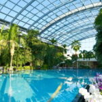 Bucharest: Therme Bucureti Entry Ticket with Transportation - The Verdict: Who Will Love This Experience?