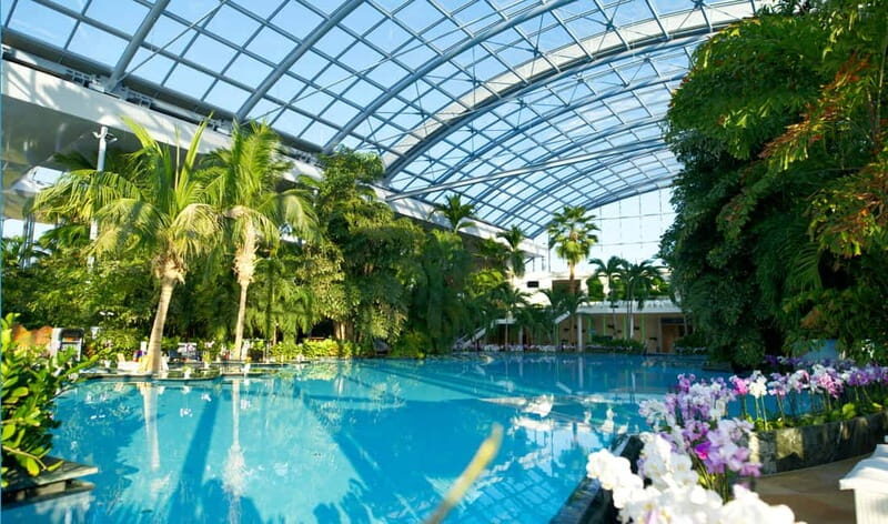 Bucharest: Therme Bucureti Entry Ticket with Transportation - The Verdict: Who Will Love This Experience?