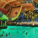 Bucharest: Therme Entry Ticket and Transfer - Who Should Consider This Tour?