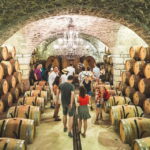 Bucharest: Tour The Wine Road, 2 Boutique Wineries in 1 Day - What’s Not So Perfect