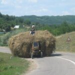 Bucovina Painted Monasteries Day Tour - Who Is This Tour For?