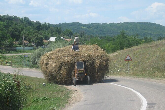 Bucovina Painted Monasteries Day Tour - Who Is This Tour For?
