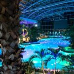 Bucuresti: Therme Bucharest Evening Entry Ticket & Transfer - The Realities: Pros and Cons