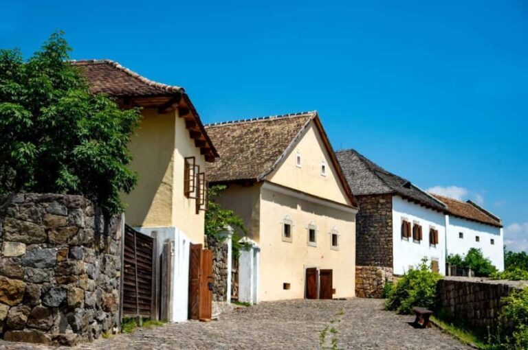 Budapest: Bike ride to the city of Painters, Szentendre - Value and Suitability