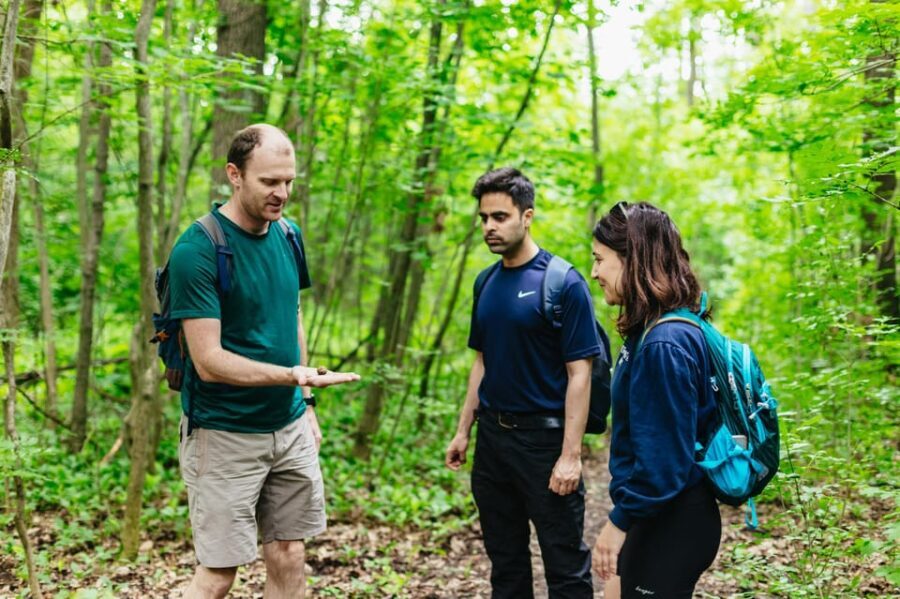 Budapest: Buda Hills Guided Hiking Tour with Optional Lunch - The Experience Through the Lens of Reviewers