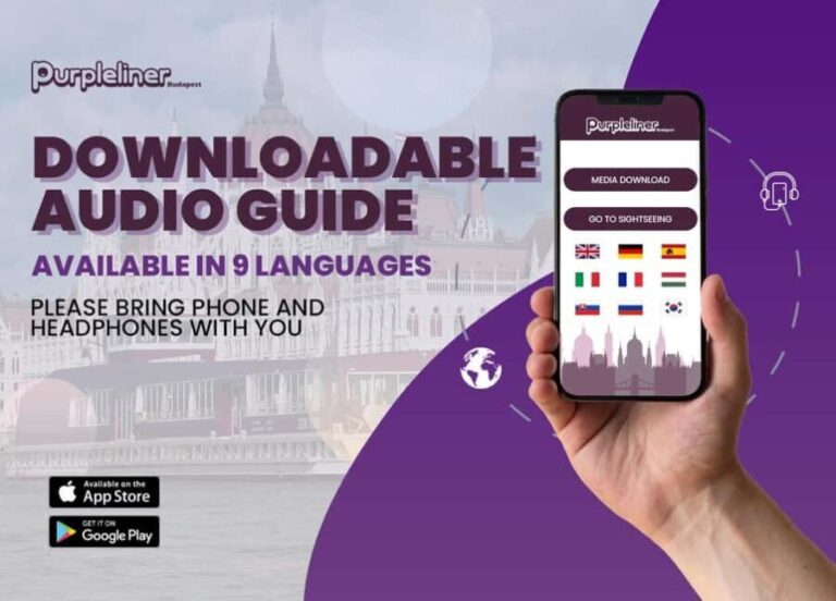 Budapest: Night Lights Cruise - Practical Tips for Your Cruise