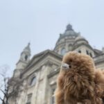 Budapest: Private 4-Hour City Tour by Car - Who Should Consider This Tour?