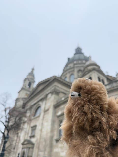 Budapest: Private 4-Hour City Tour by Car - Who Should Consider This Tour?