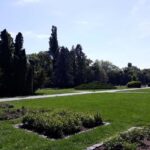 Budapest: Running Guided Tour & Folk Music Performance - Experience Breakdown: What You Can Expect