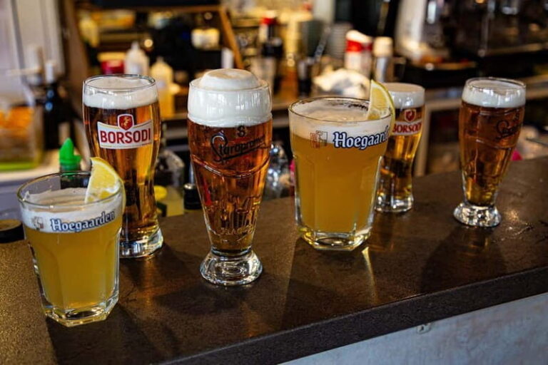 Budapest: Unlimited Beer Cruise - Who Should Consider This Experience?