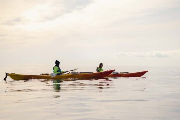 Budva: Winter Sea Kayak Tour to Caves & St Nicholas Island - What Travelers Say