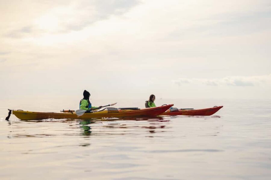 Budva: Winter Sea Kayak Tour to Caves & St Nicholas Island - What Travelers Say