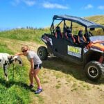 Buggy  Off-road Excursion w/ lunch  Coast to Coast (Shared) - Practical Details