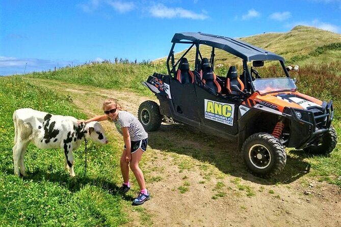 Buggy  Off-road Excursion w/ lunch  Coast to Coast (Shared) - Practical Details