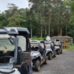 BUGGY TOUR - West / Center of the island (off-road) - What to Expect During the Ride