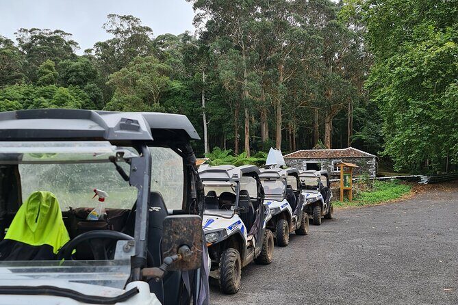 BUGGY TOUR - West / Center of the island (off-road) - What to Expect During the Ride