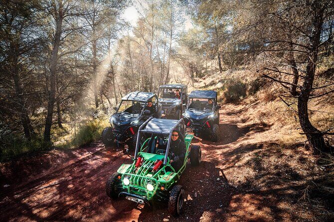 Buggy Tours in Benidorm - The Value for Money