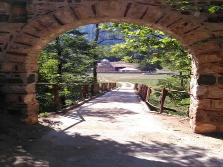 Bulgaria and Serbia Full Day Tour from Sofia - Practical Details and What To Expect