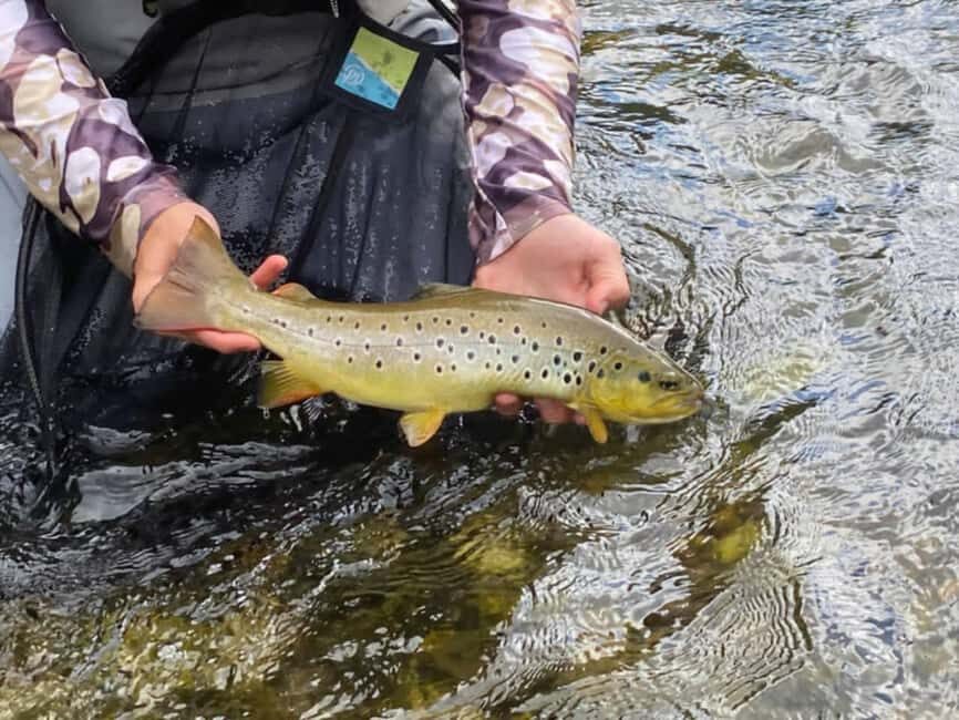 Bulgaria: Guided Fly Fishing Day Trip - What’s Included and How It Works