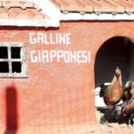 Burgos: visit to a farm with tasting - What To Expect: The Practical Details